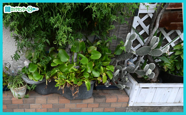 植木鉢の土の中へビニール袋にいれる