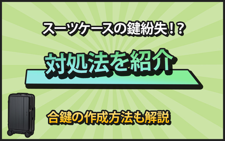 スーツケースをなくした時の対処法
